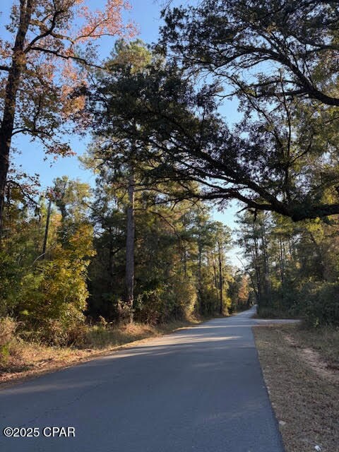 3389 Gainer Rd, Chipley, FL 32428 - photo 5