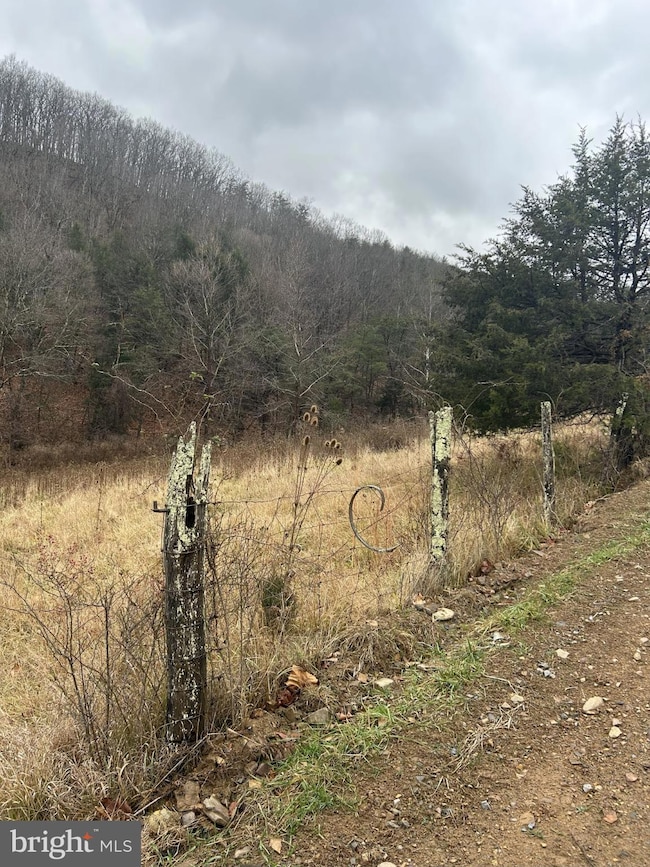 365 Strauter, Franklin, WV 26807 - photo 7