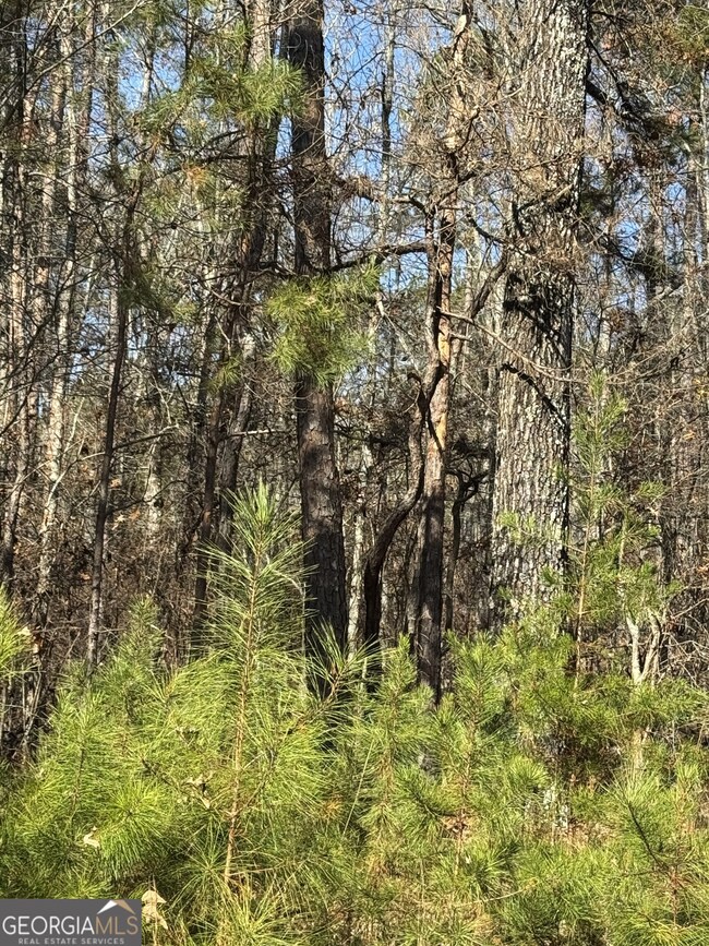 0 Arrowhead Dr unit 10651810, Delta, AL 36258 - photo 5