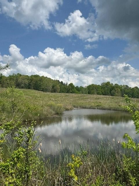 0 Sam Smith Rd unit 236295, Allardt, TN 38504 - photo 3