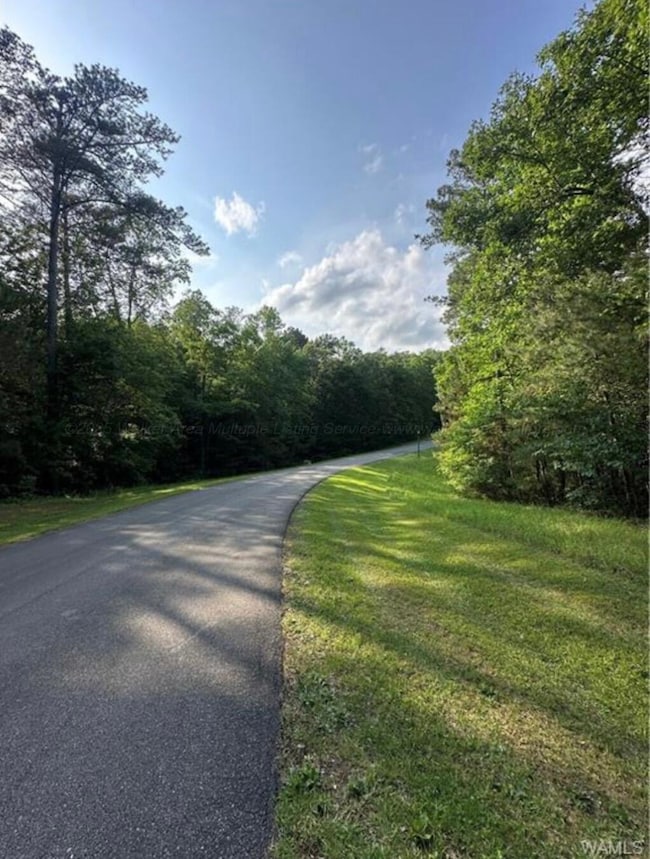 34 Stoney Point Rd N, Double Springs, AL 35553 - photo 3