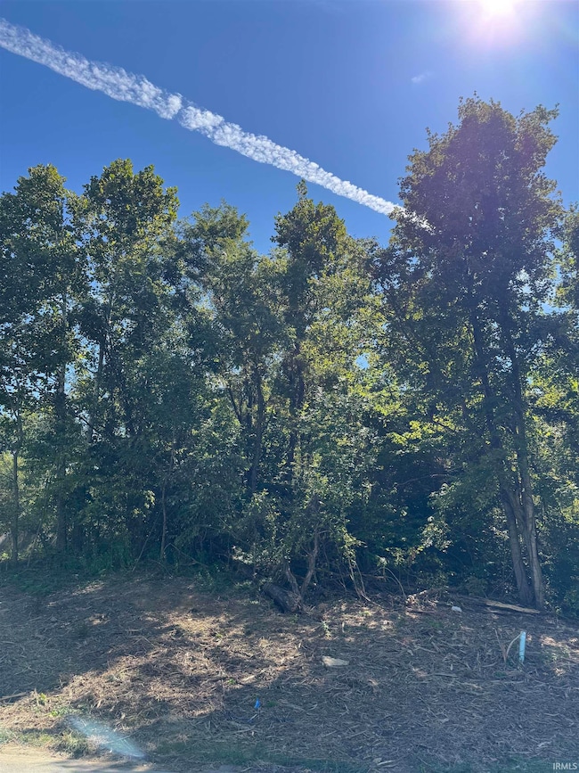 732 W Thornridge Way, Spencer, IN 47460 - photo 4