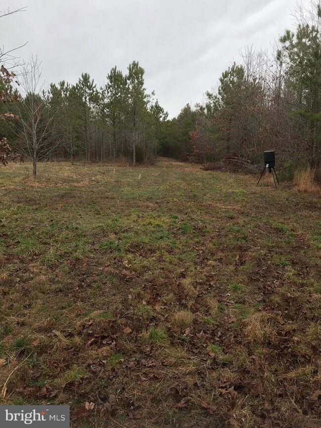 0 Foxhall Rd unit VAWE115710, Colonial Beach, VA 22443 - photo 5