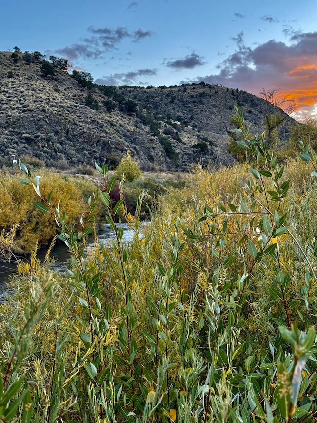 RIVER FRONT PROPERTY