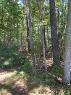 00 Line Fence Rd, York, VA 23072 - photo 3