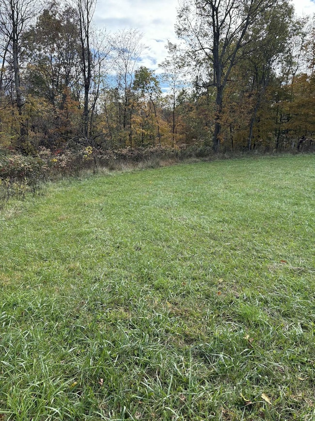 Pine Grove Ch Rd, Vanceburg, KY 41179 - photo 2