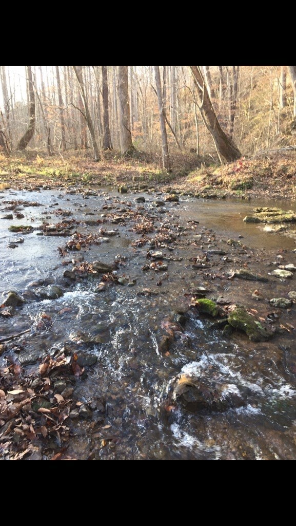 7.87 AC Paran Rd, Cookeville, TN 38506 - photo 7