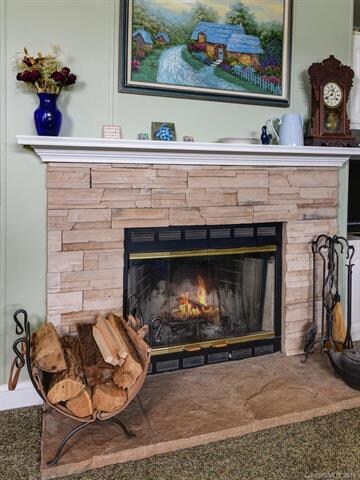 3 Austin Hunter Ln, Leicester, NC 28748 - photo 6