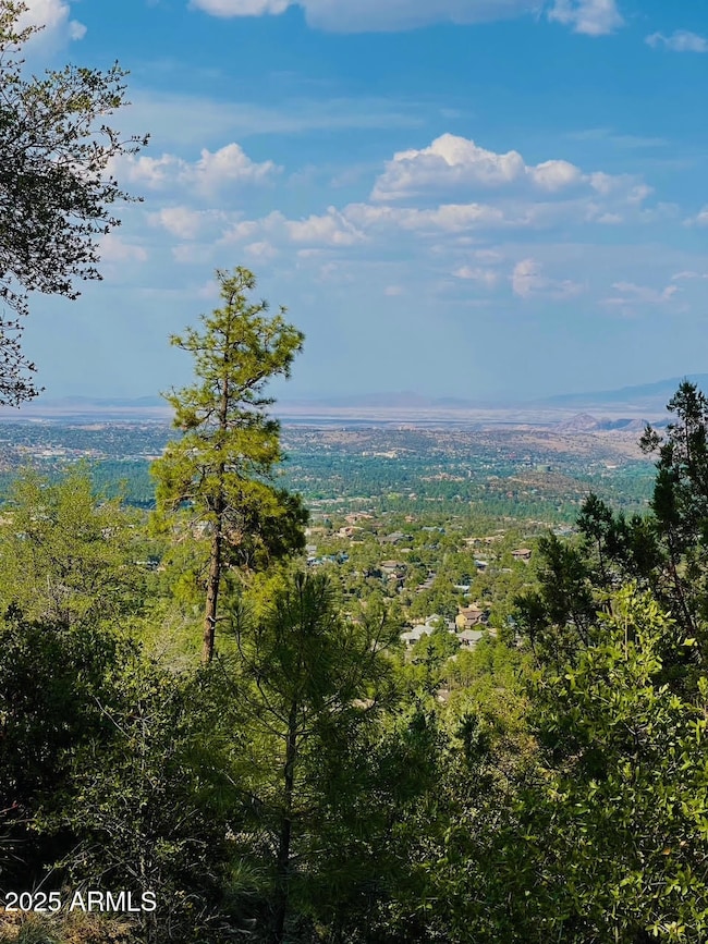 Views looking North