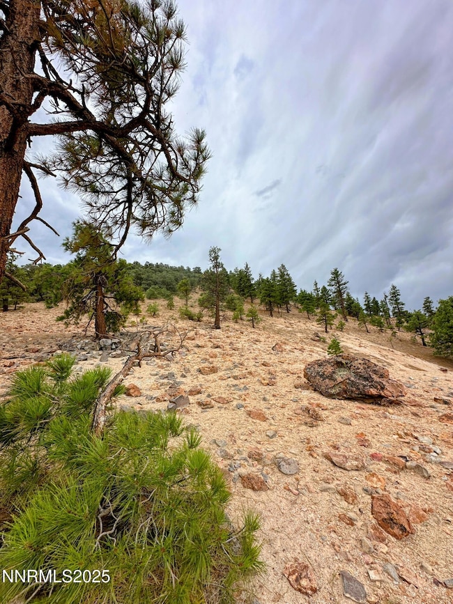 0 Geiger Grade unit 250053963, Reno, NV 89521 - photo 6