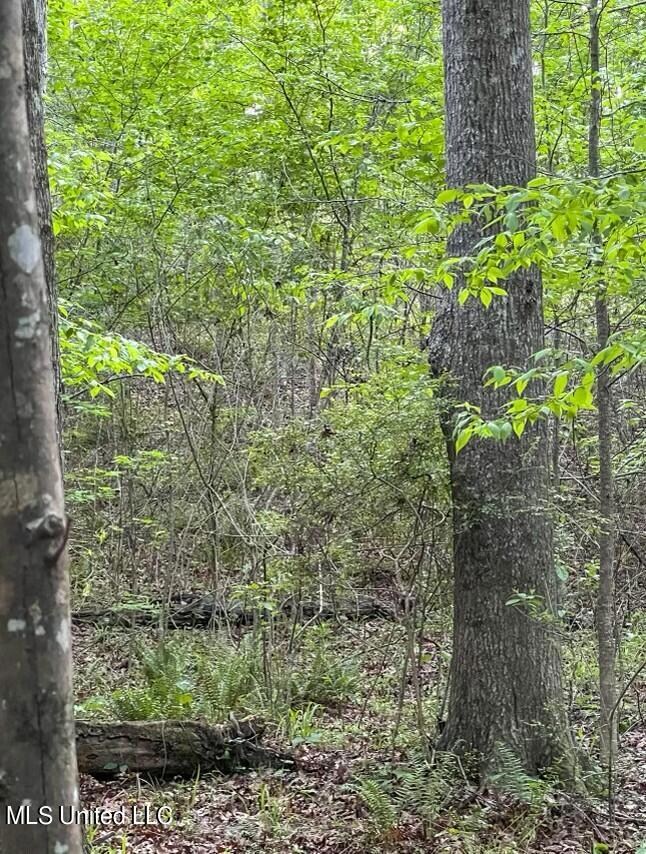 00 Ashley Rd, Brandon, MS 39042 - photo 7