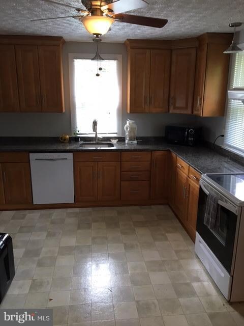 7423 Bay Front Rd, Baltimore, MD 21219 - photo 3