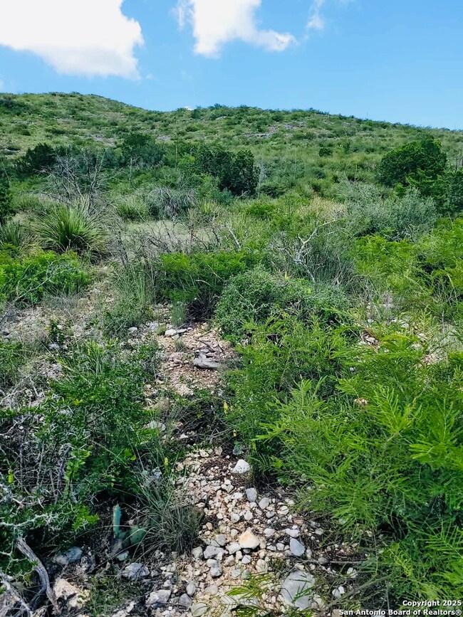 0 Cr 408 unit 1907564, Uvalde, TX 78801 - photo 2