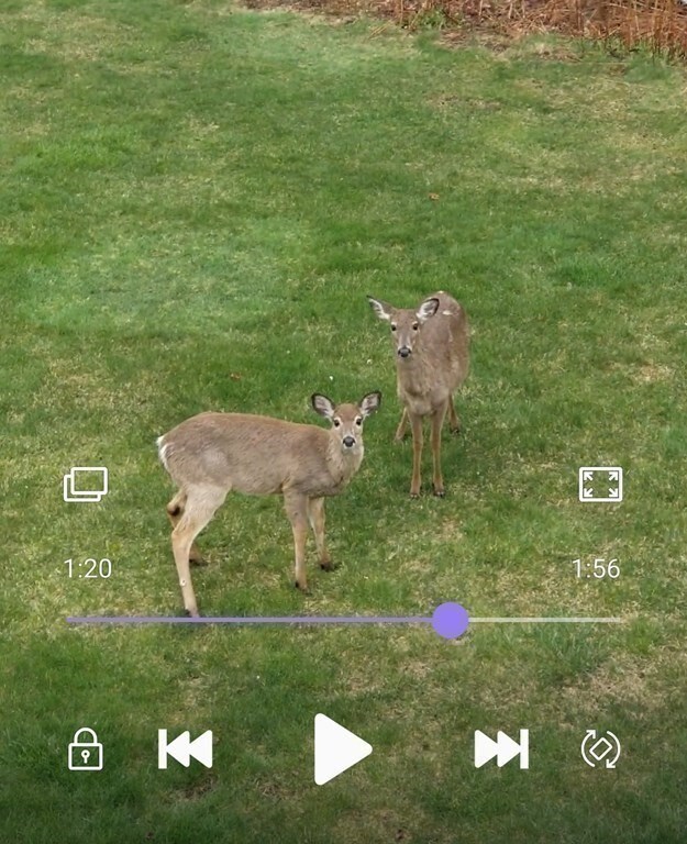 317 Hampton Way, Abington, MA 02351 - photo 4