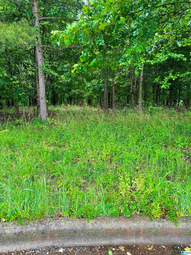 0 Eagle Pass Way unit 33 1353486, Anniston, AL 36207 - photo 5