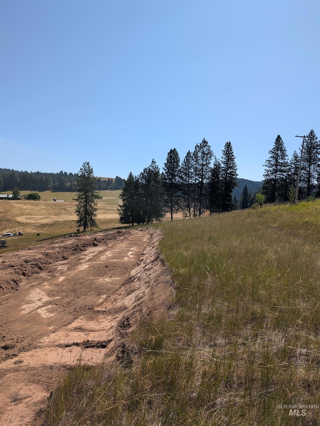 View of local wilderness with rural landscape
