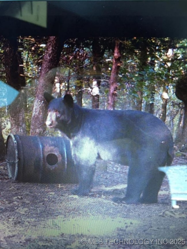 1 SE Hulsey Prairie, Panola, OK 74578 - photo 5