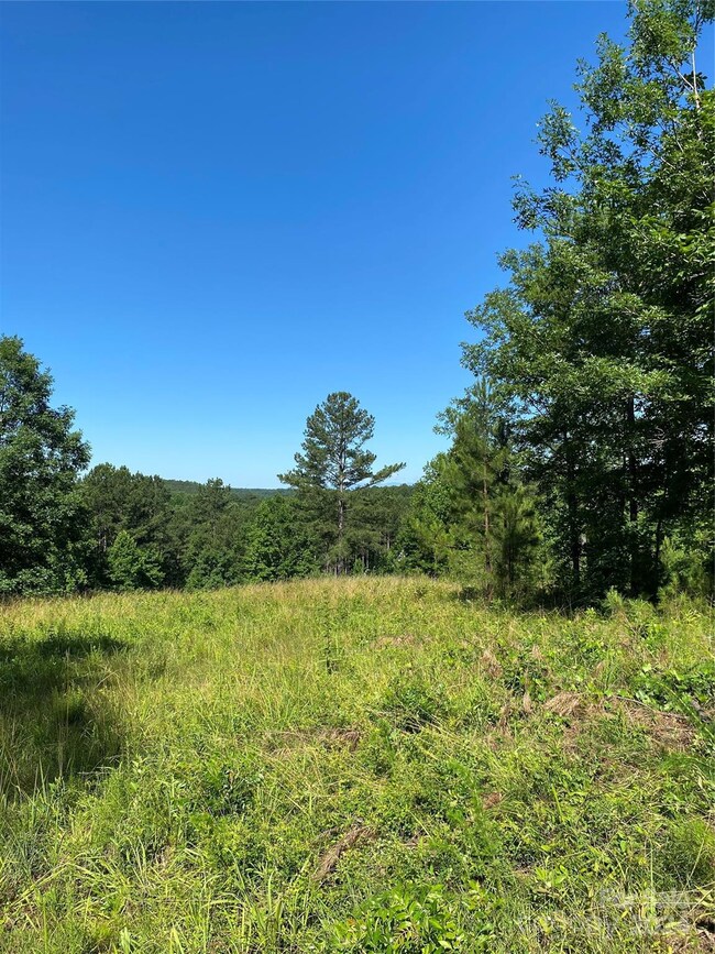 2108 Island View Ln NE, Connelly Spring, NC 28612 - photo 6