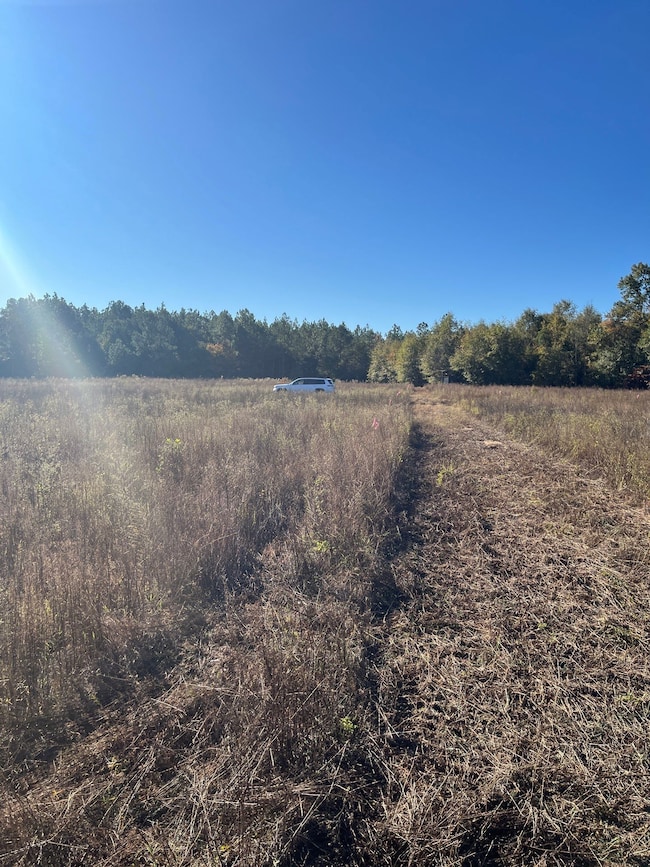 Bhl 2 Boise Cascade Rd, Bethune, SC 29009 - photo 3