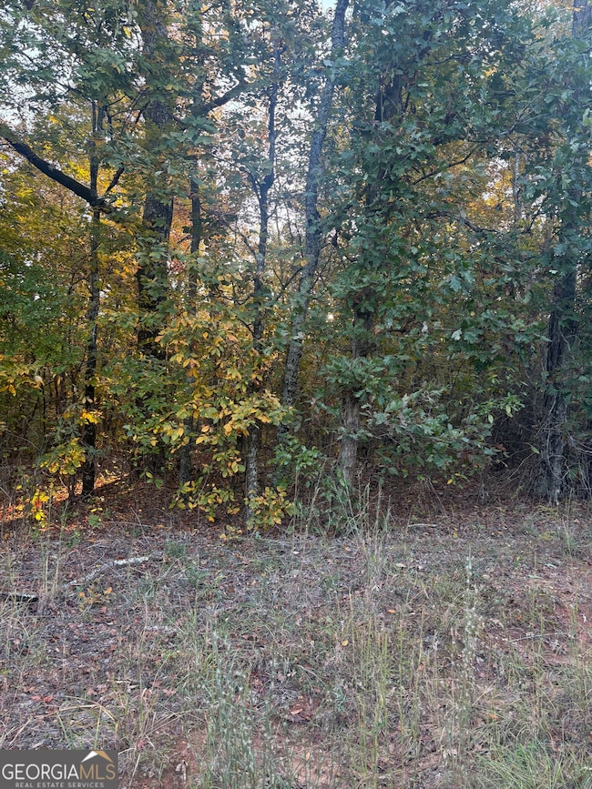 105 Magnolia Dr NW, Milledgeville, GA 31061 - photo 5