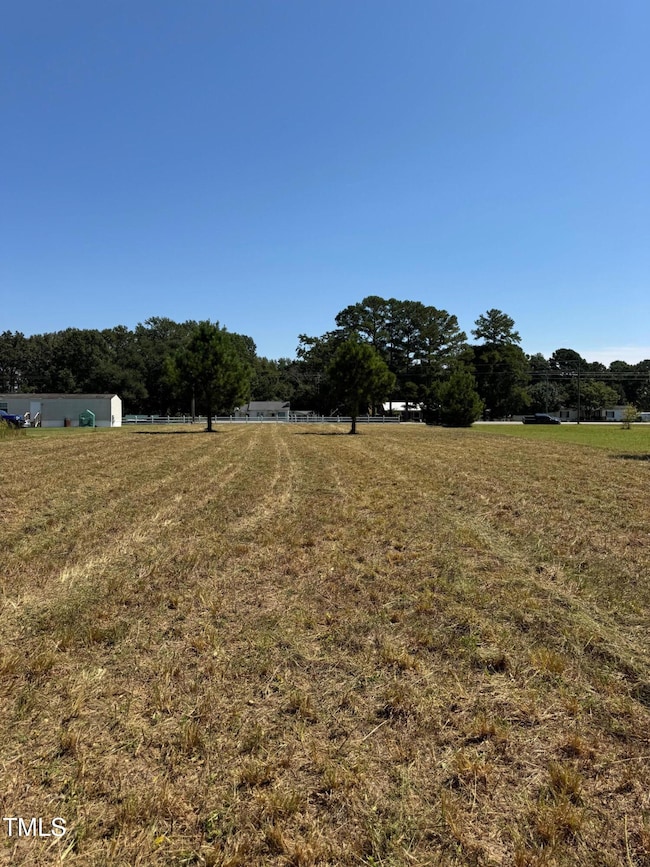 1 Basstown Rd, Clinton, NC 28328 - photo 4