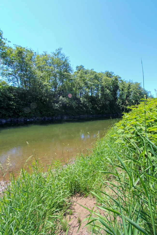 TL# 00202 Latimer Rd, Tillamook, OR 97141 - photo 5