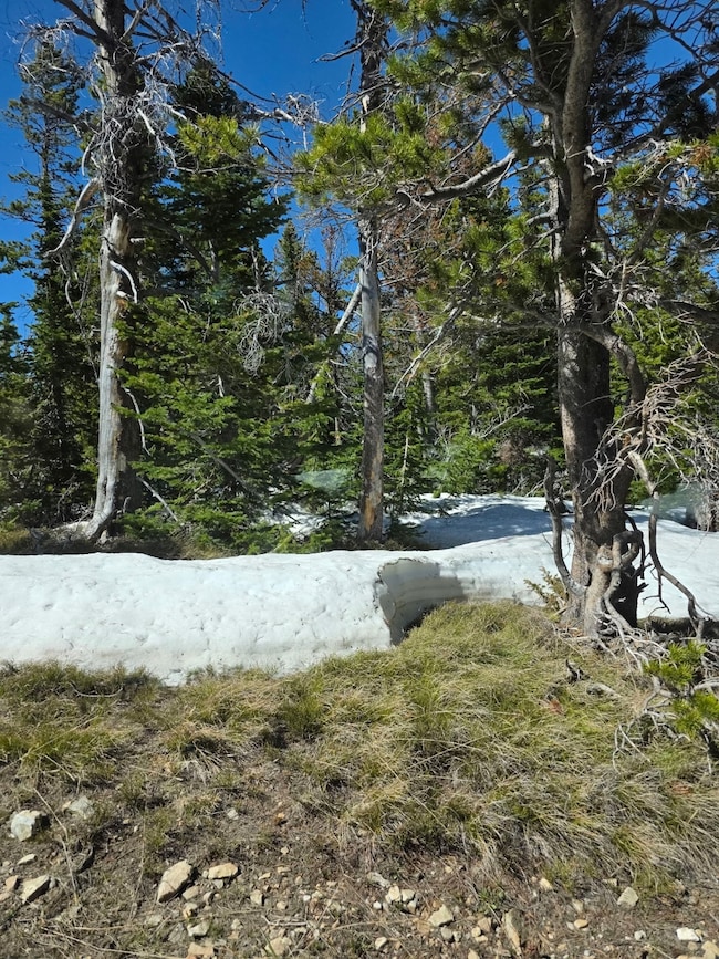 sec 28 T08NR08E HEIT 5 11 Acres, White Sulphur Springs, MT 59645 - photo 4