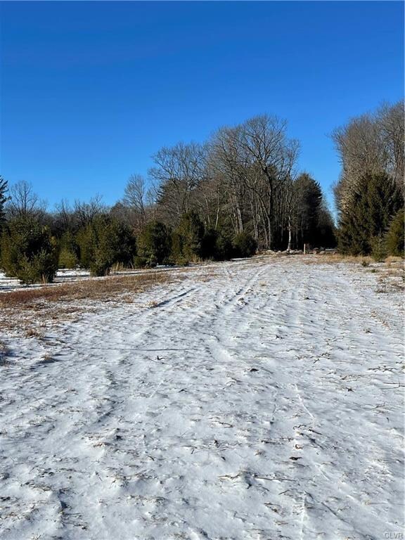 0 N Old Stage Rd unit 659503, Kidder Township, PA 18210 - photo 3