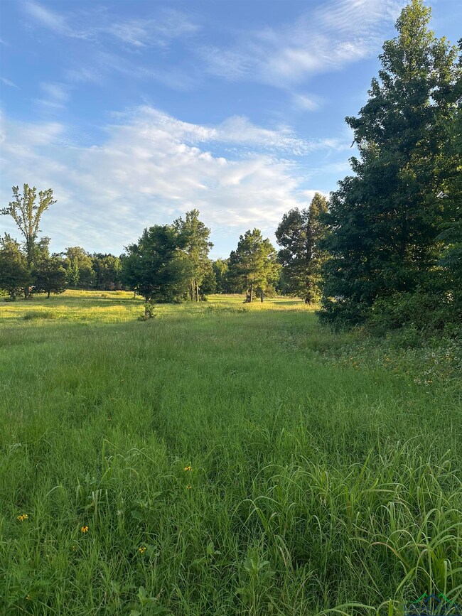 View of local wilderness featuring rural landscape