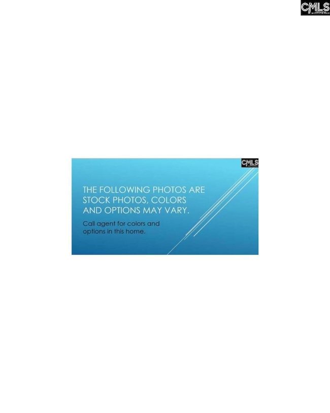 349 Mont Haven Place, Lexington, SC 29072 - photo 4