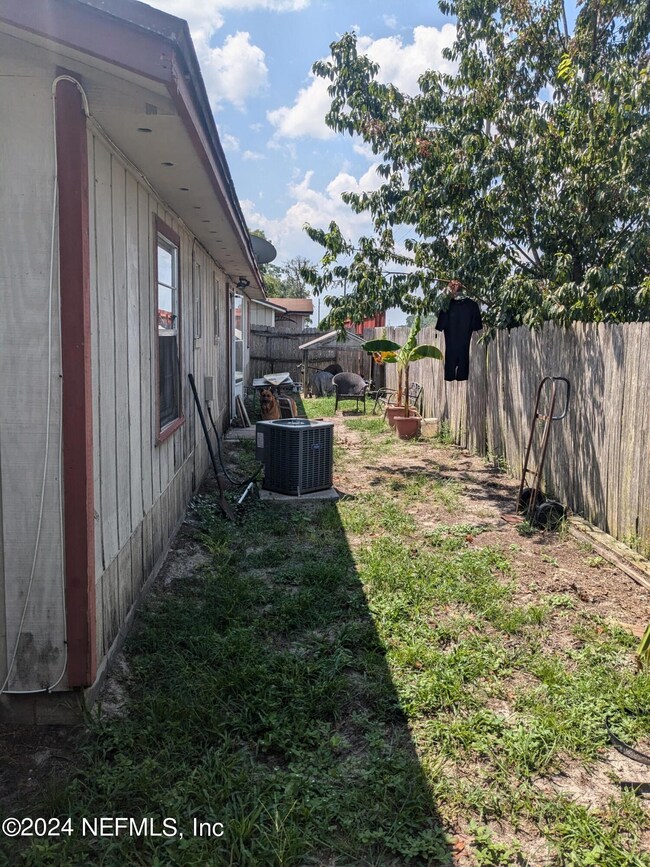 Backyard