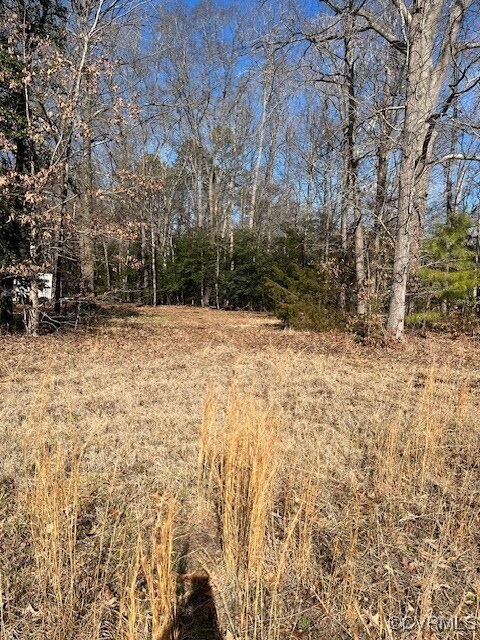 View of local wilderness