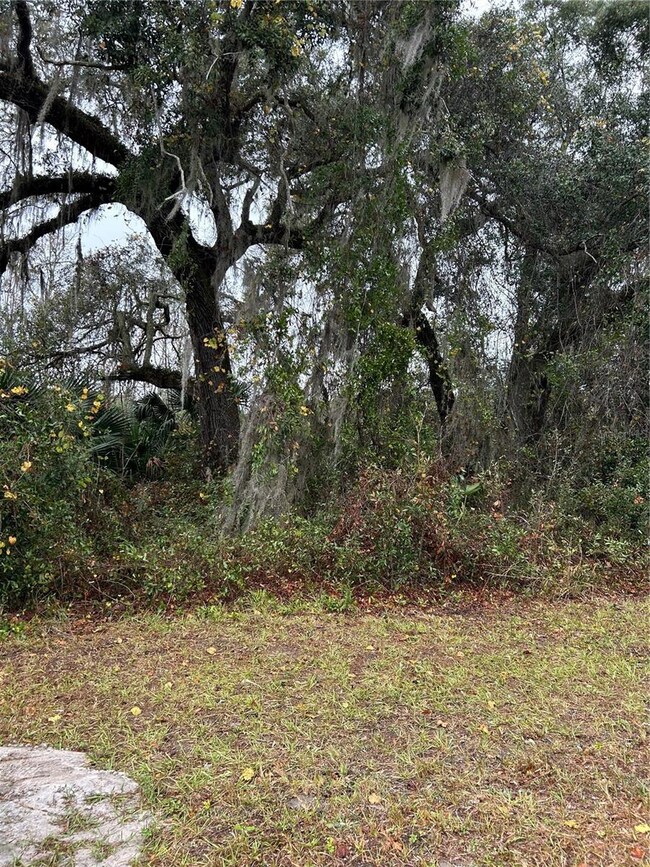 0 Emporia Rd unit MFRV4939993, Pierson, FL 32180 - photo 2