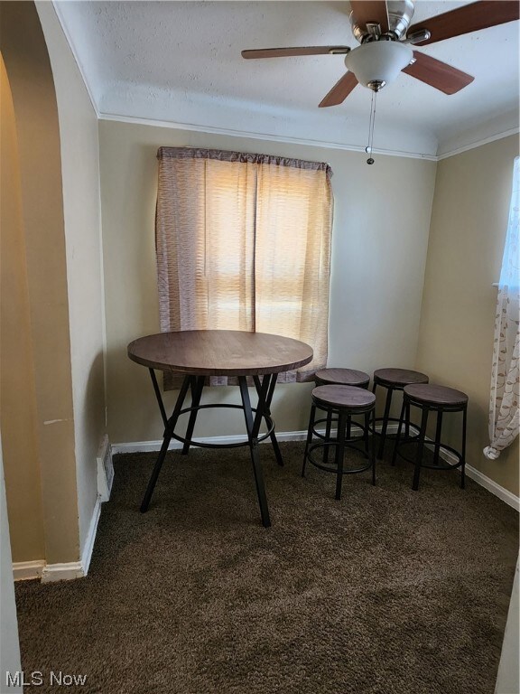 19518 Nitra Ave, Maple Heights, OH 44137 - photo 4