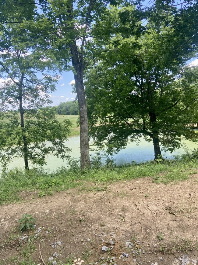 0 Mclaughlin Ln unit RTC2656474, Shelbyville, TN 37160 - photo 6