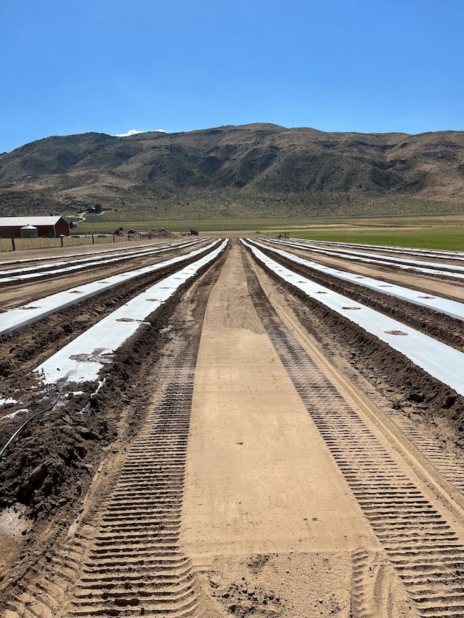 3995 Bacon Rind Rd, Reno, NV 89510 - photo 5