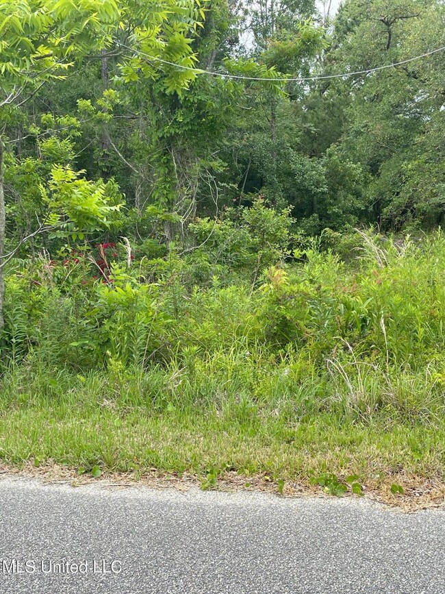 image0 (14)