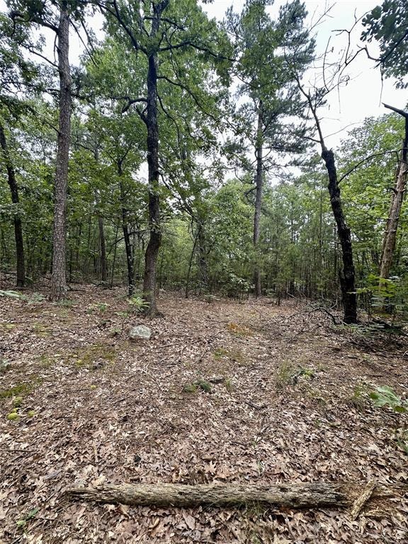 View of undeveloped land