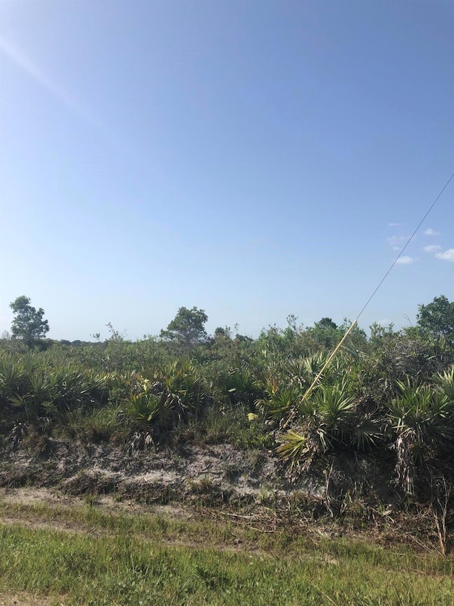 19775 NW 242nd St, Okeechobee, FL 34972 - photo 6