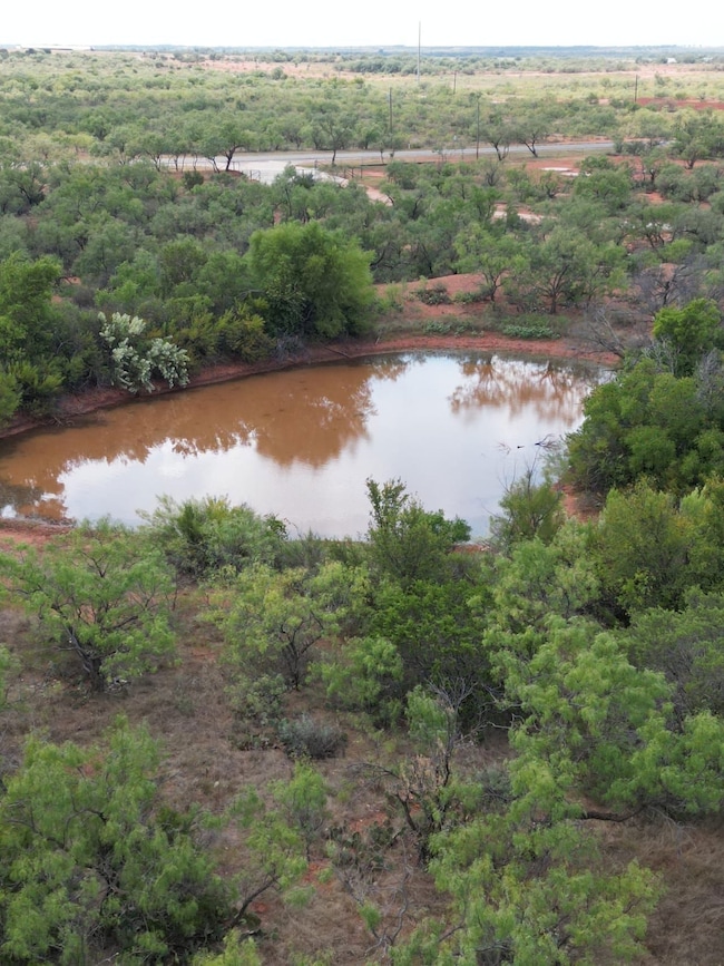 Tbd Fm 1086, Winters, TX 79567 - photo 3