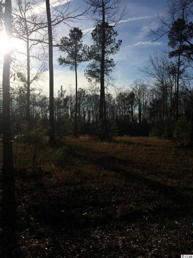 Lot 11 Bantry Ln, Conway, SC 29526 - photo 3