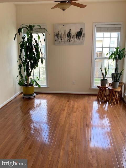 25151 Cutgrass Terrace, Stone Ridge, VA 20105 - photo 6