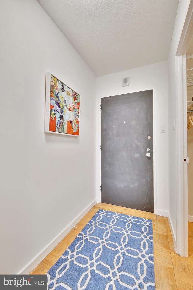 Tiber Island unit N-100, Washington, DC 20024 - photo 4