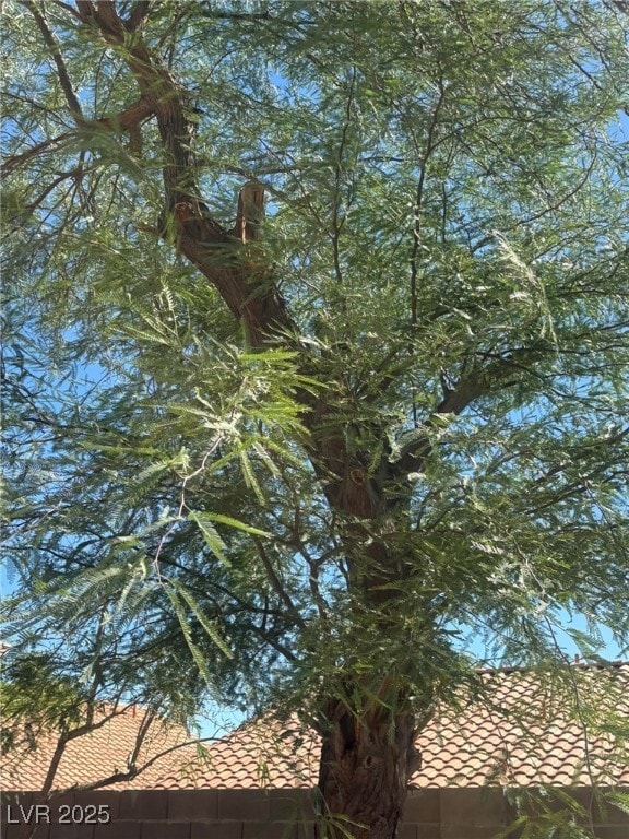 3870 Spruceview Ct, Las Vegas, NV 89147 - photo 4