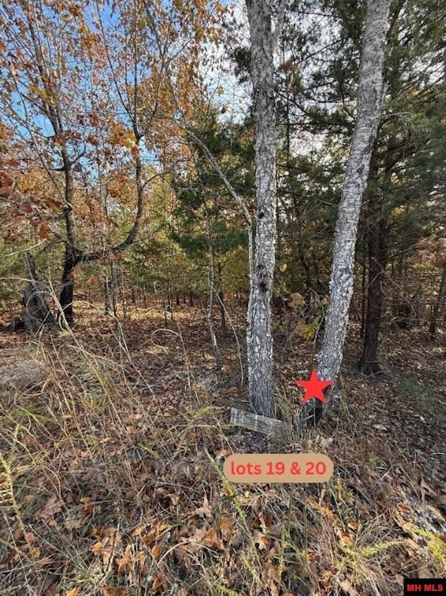 002-11055-016 Buckhead Ln, Mountain Home, AR 72653 - photo 5