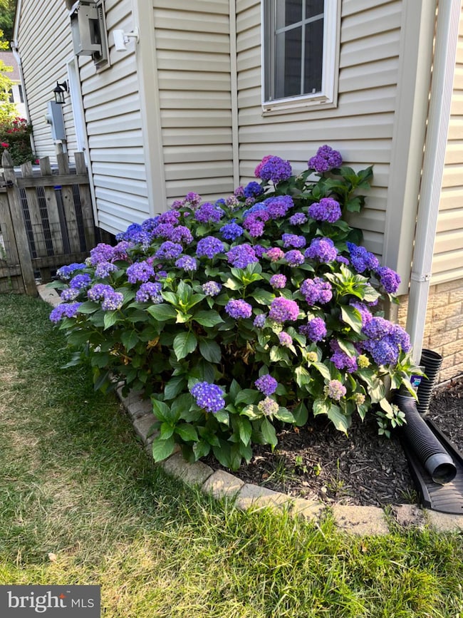 2707 Francis Ct, Fredericksburg, VA 22408 - photo 4