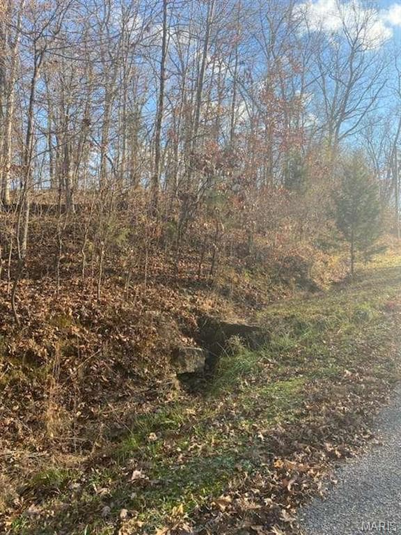 18 Wagon Creek Loop, Creal Springs, IL 62922 - photo 2