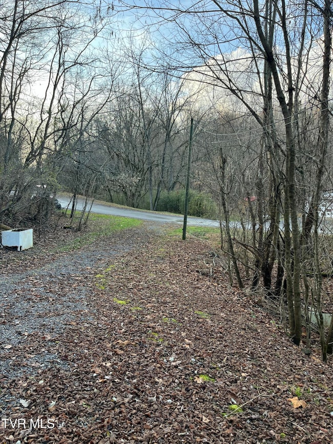 529 Stallard Lawson Cemetery Ln, Fort Blackmore, VA 24250 - photo 6