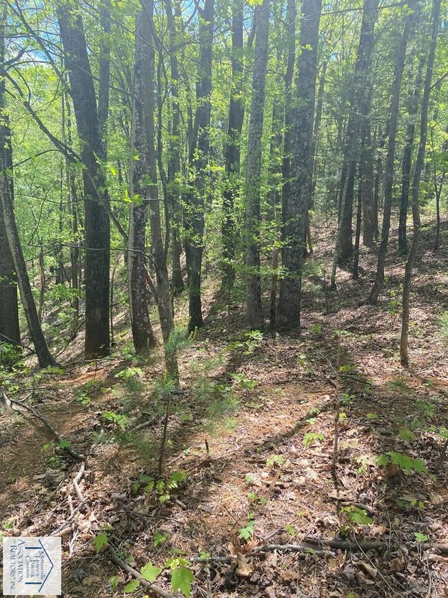 Lot 12 Timber Run Dr, Woolwine, VA 24185 - photo 7