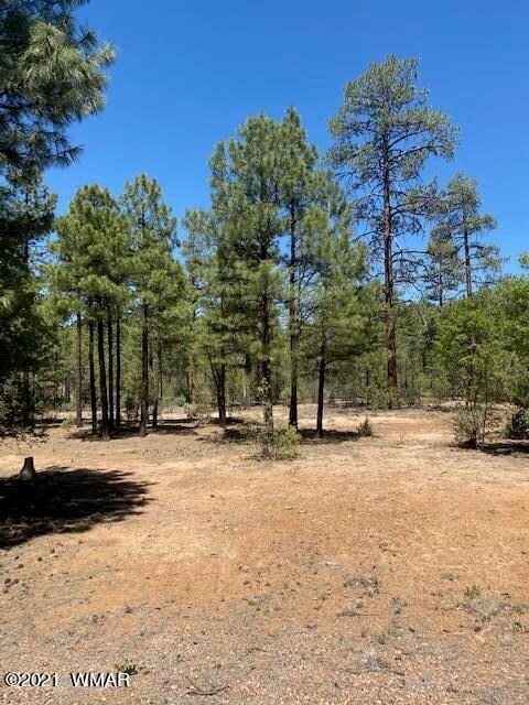 1511 S Elk Run Dr, Show Low, AZ 85901 - photo 2